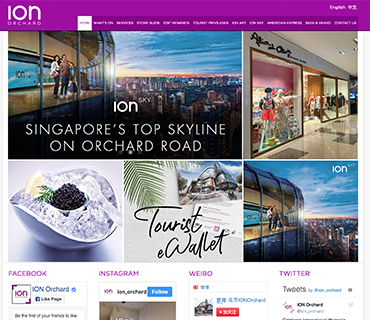 ION Orchard — Web Development