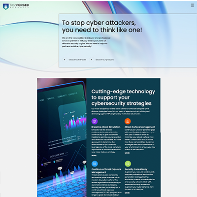 Titan Forged Security — Web Development