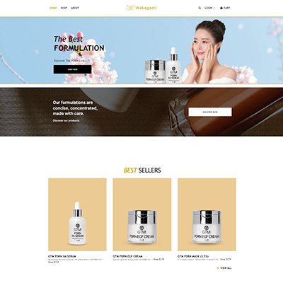 Wakagae — Ecommerce Development
